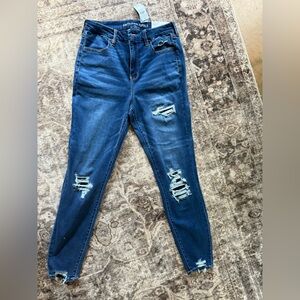 American Eagle Outfitters Blue Skinny Jeans